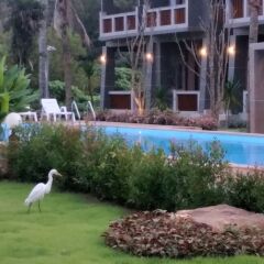 Отель Lanta Infinity Resort Ланта фото 14