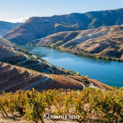 Отель Douro Cister Hotel Resort Rural & Spa Португалия, Байао - отзывы, цены и фото номеров - забронировать отель Douro Cister Hotel Resort Rural & Spa онлайн приотельная территория фото 2