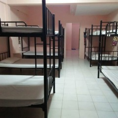 The Galiness International Backpacker Hostel Phuket комната для гостей фото 4
