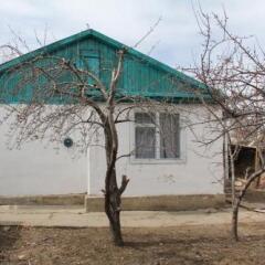 Отель Guesthouse Alakol Кыргызстан, Каракол - отзывы, цены и фото номеров - забронировать отель Guesthouse Alakol онлайн фото 2