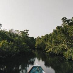 Отель Amantra Lake View Resort Ланта парковка