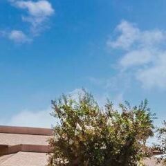 Отель Super 8 by Wyndham Lindsay Olive Tree фото 5