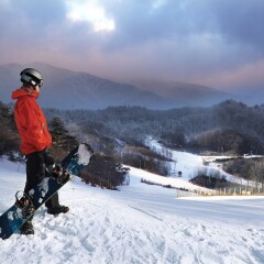 Отель Phoenix Pyeongchang Hotel Южная Корея, Пхёнчан - отзывы, цены и фото номеров - забронировать отель Phoenix Pyeongchang Hotel онлайн спортивное сооружение