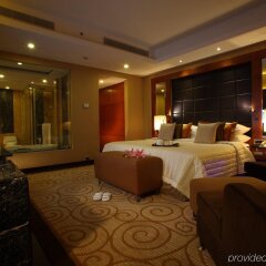 Отель Radisson Blu Plaza Delhi Airport Индия, Нью-Дели - 1 отзыв об отеле, цены и фото номеров - забронировать отель Radisson Blu Plaza Delhi Airport онлайн фото 6
