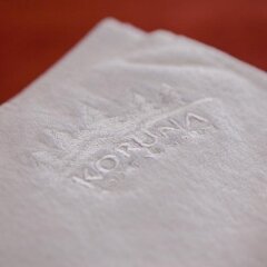 Отель Koruna Буковель спа фото 2