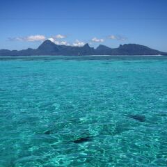 Отель Tahiti Sail and Dive Французская Полинезия, Бора-Бора - отзывы, цены и фото номеров - забронировать отель Tahiti Sail and Dive онлайн пляж фото 4