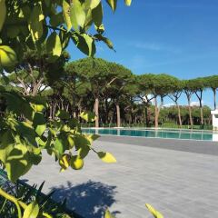 Отель Camping Village Roma Capitol Италия, Казаль Палоччо - отзывы, цены и фото номеров - забронировать отель Camping Village Roma Capitol онлайн бассейн
