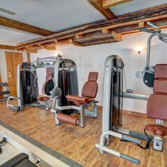 Alpenbad Hotel Hohenhaus фитнесс-зал фото 3