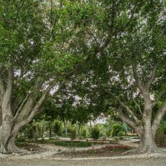 Hotel Parco delle Fontane Сиракуза фото 5