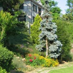 Отель Villa Arabella Морнико-Лозана фото 11