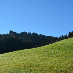 Отель Hornflue (Baumann)