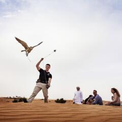 Pullman Dubai Jumeirah Lakes Towers - Hotel and Residence развлечения