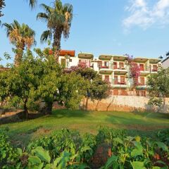 Patara Delfin Hotel Турция, Патара - отзывы, цены и фото номеров - забронировать отель Patara Delfin Hotel онлайн фото 3