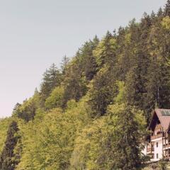 Отель Miramonti Boutique Hotel Италия, Авеленго - отзывы, цены и фото номеров - забронировать отель Miramonti Boutique Hotel онлайн фото 8