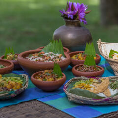 Отель Roman Lake Ayurveda Resort питание