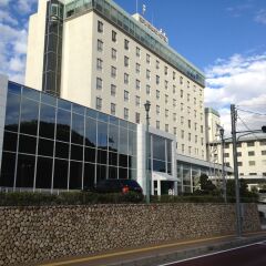 Gifu Grand Hotel фото 8