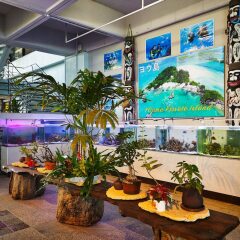 Moon Beach Palace Hotel Центр Окинавы интерьер отеля фото 2