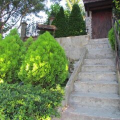 Отель Guest House Dvata Bora Болгария, Генерал-Кантраджиево - отзывы, цены и фото номеров - забронировать отель Guest House Dvata Bora онлайн фото 3