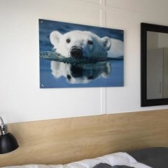Best Western Plus Hotel Ilulissat in Ilulissat, Greenland from 895$, photos, reviews - zenhotels.com guestroom photo 3