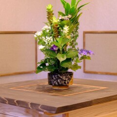 Отель Yufuin Ryokan Seikoen Хидзи в номере фото 2