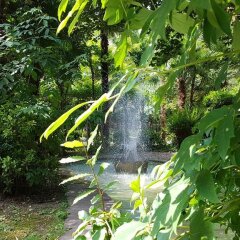 Отель Terme Villa Piave Италия, Абано-Терме - отзывы, цены и фото номеров - забронировать отель Terme Villa Piave онлайн