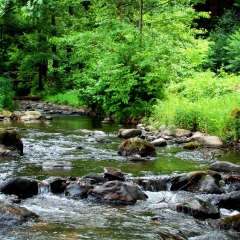 Гостиница Bogolvar Eco Resort & Spa фото 4