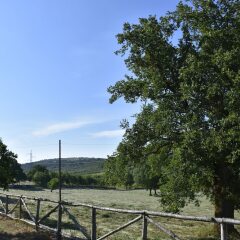 Отель Masseria Mazzalorsa Альберобелло спортивное сооружение