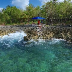 Отель Casa de las Flores Tropical Lodge Колумбия, Сан-Андрес - отзывы, цены и фото номеров - забронировать отель Casa de las Flores Tropical Lodge онлайн приотельная территория фото 2