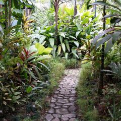 Отель Colo-I-Suva Rainforest Eco Resort Вити-Леву фото 11