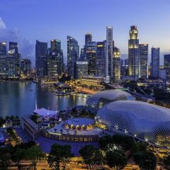 Отель Grand Hyatt Singapore Сингапур, Сингапур - 1 отзыв об отеле, цены и фото номеров - забронировать отель Grand Hyatt Singapore онлайн фото 6