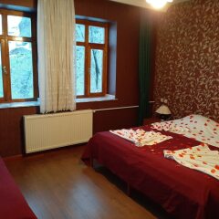 Kapadokya Stonelake Hotel Турция, Гюзельюрт - отзывы, цены и фото номеров - забронировать отель Kapadokya Stonelake Hotel онлайн комната для гостей фото 2