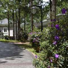 Отель Dalat Edensee Lake Resort & Spa Уорд 3 парковка