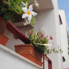 Отель B&B AnnaVì Бари фото 29