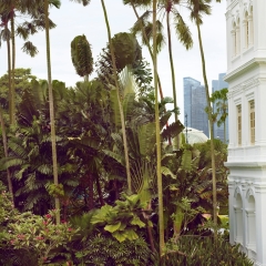 Отель Raffles Singapore фото 9