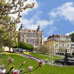 Отель Danubius Health Spa Resort Hvězda-Imperial-Neapol фото 4