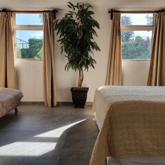 Отель Casa Tamayo Мексика, Мехико - отзывы, цены и фото номеров - забронировать отель Casa Tamayo онлайн комната для гостей фото 2