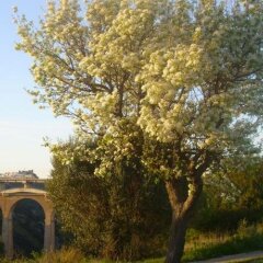 Отель Masseria La Gravina Кастелланета