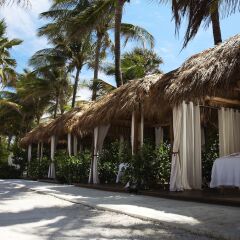 The Palms Hotel & Spa парковка
