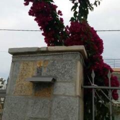 Отель Vila Ester