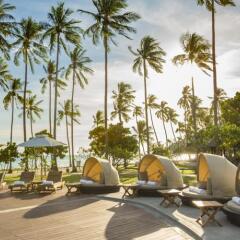 Отель Phi Phi Island Village Beach Resort Таиланд, Краби - 2 отзыва об отеле, цены и фото номеров - забронировать отель Phi Phi Island Village Beach Resort онлайн фото 10