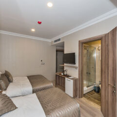 Alphonse Hotel in Istanbul, Turkiye from 66$, photos, reviews - zenhotels.com guestroom photo 3