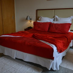 Loanda Hotel in Luanda, Angola from 213$, photos, reviews - zenhotels.com guestroom