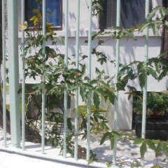 Отель Old House Болгария, Бургас - отзывы, цены и фото номеров - забронировать отель Old House онлайн помещение для мероприятий