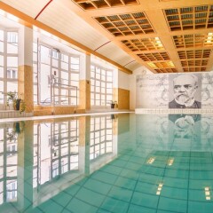 Отель Spa Hotel Dvorák Чехия, Карловы Вары - 6 отзывов об отеле, цены и фото номеров - забронировать отель Spa Hotel Dvorák онлайн бассейн фото 3
