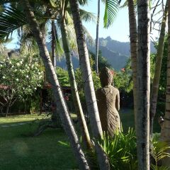 Отель Poerani Moorea бассейн фото 3
