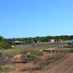 Отель Apartamentos Marcelino - Formentera Break Испания, Форментера - отзывы, цены и фото номеров - забронировать отель Apartamentos Marcelino - Formentera Break онлайн фото 2
