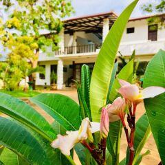 Отель Saman Resort детские мероприятия фото 2