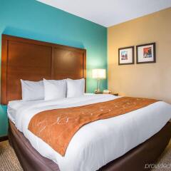 Comfort Suites O Hare Airport In Schiller Park United States Of