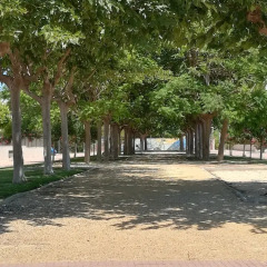 Отель Blaumar Residencial Испания, Лорча - отзывы, цены и фото номеров - забронировать отель Blaumar Residencial онлайн парковка