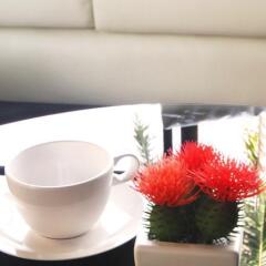 Fin Hostel Phuket пляж Ката в номере
